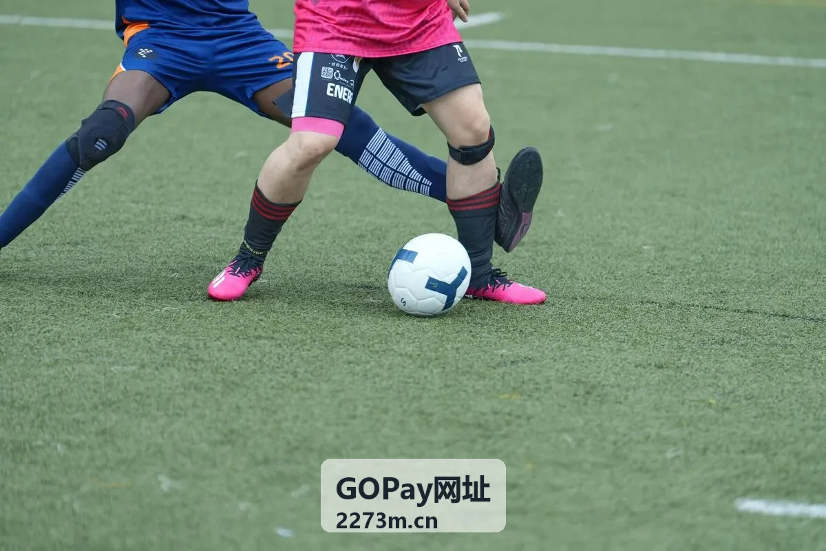 GOPay网址安全与合规支付体系示意图